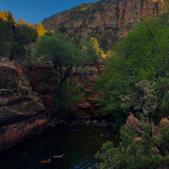 Meet your Posher, Aleah - Picture 3 of 3